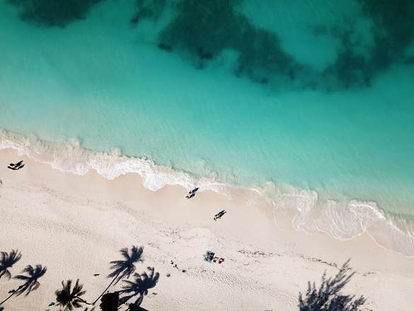 Carnival - Caribbean 2, Credit. Pip Cowley & Anomaly.jpg